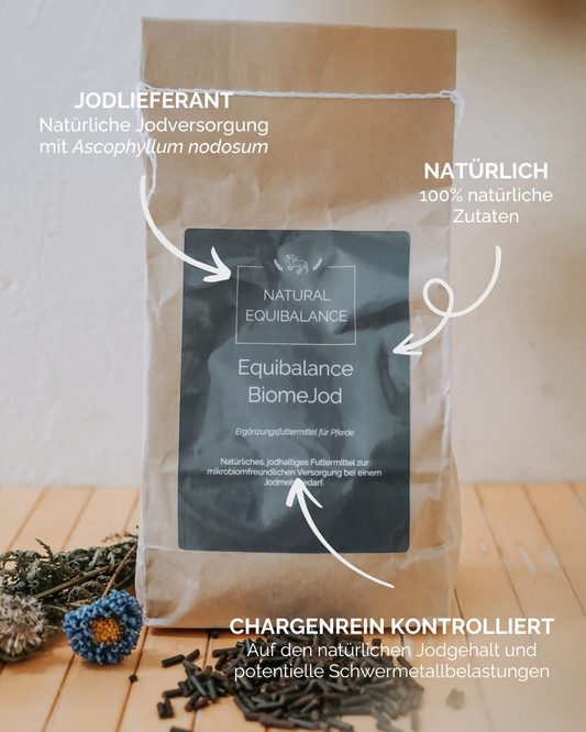 Equibalance BiomeJod
